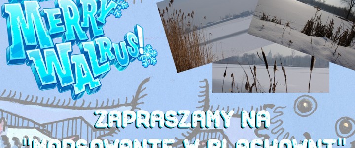 Morsowanie o OSiR-em