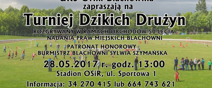 Turniej Dzikich Drużyn Turniej Dzikich Drużyn